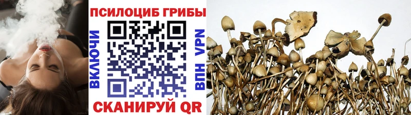 Галлюциногенные грибы MAGIC MUSHROOMS  Аша 