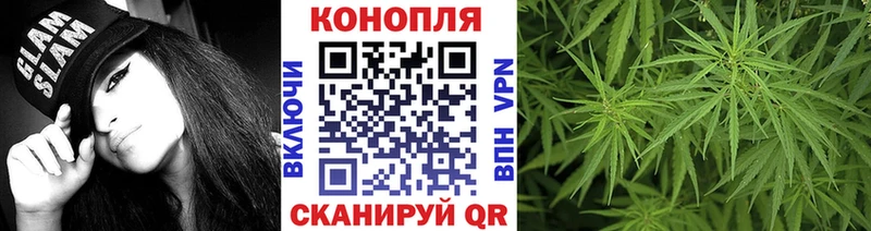 Шишки марихуана конопля  как найти наркотики  Аша 